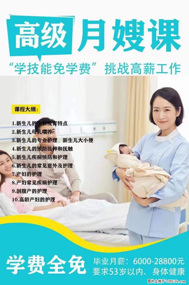 为什么要学习月嫂，育婴师？ - 其他广告 - 广告专区 - 澳门分类信息 - 澳门28生活网 am.28life.net