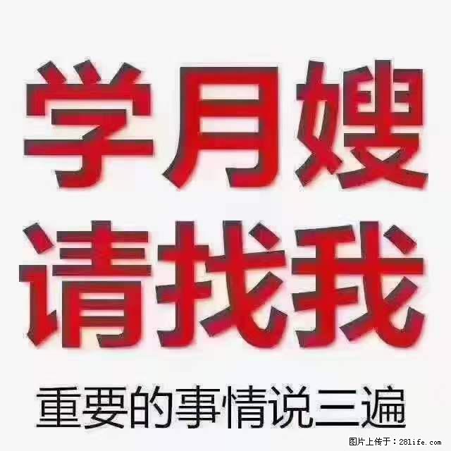为什么要学习月嫂，育婴师？ - 新手上路 - 澳门生活社区 - 澳门28生活网 am.28life.net