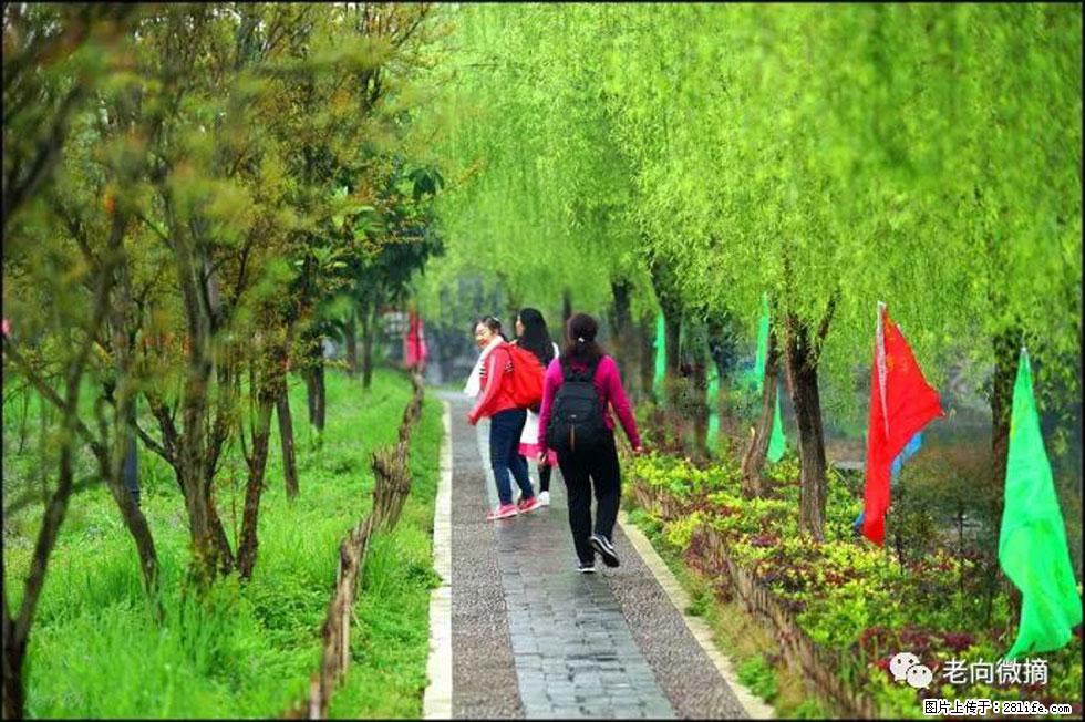 【春天，广西桂林灌阳县向您发出邀请！】江口老街又逢春 - 游山玩水 - 澳门生活社区 - 澳门28生活网 am.28life.net