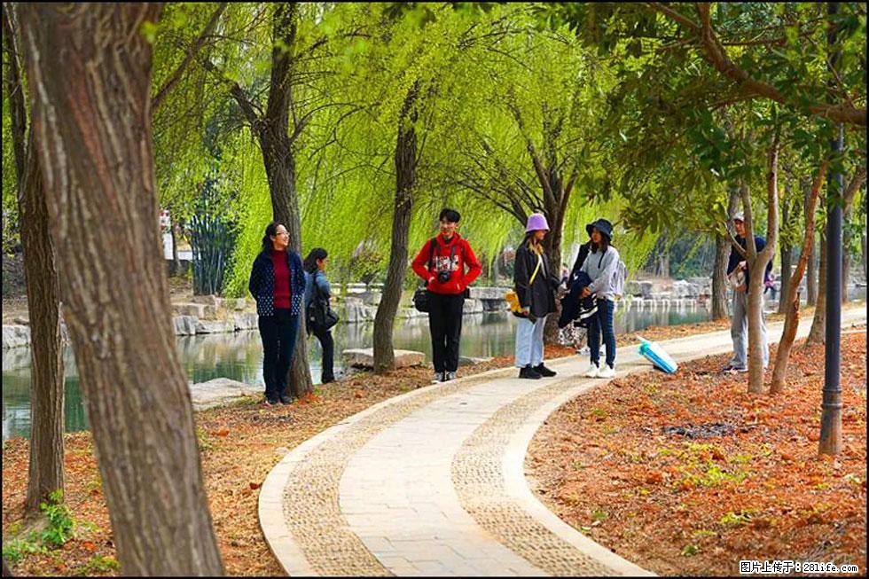 【春天，广西桂林灌阳县向您发出邀请！】江口老街又逢春 - 游山玩水 - 澳门生活社区 - 澳门28生活网 am.28life.net