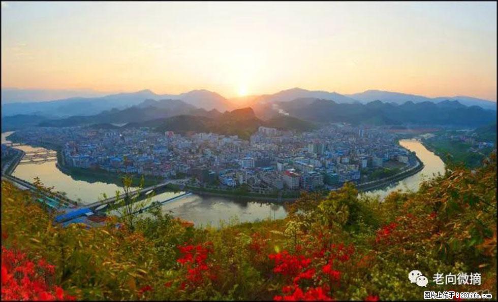 【春天，广西桂林灌阳县向您发出邀请！】登麒麟山，相约映山红 - 游山玩水 - 澳门生活社区 - 澳门28生活网 am.28life.net