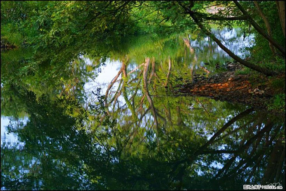 【春天，广西桂林灌阳县向您发出邀请！】熊家寨湿地公园 - 游山玩水 - 澳门生活社区 - 澳门28生活网 am.28life.net