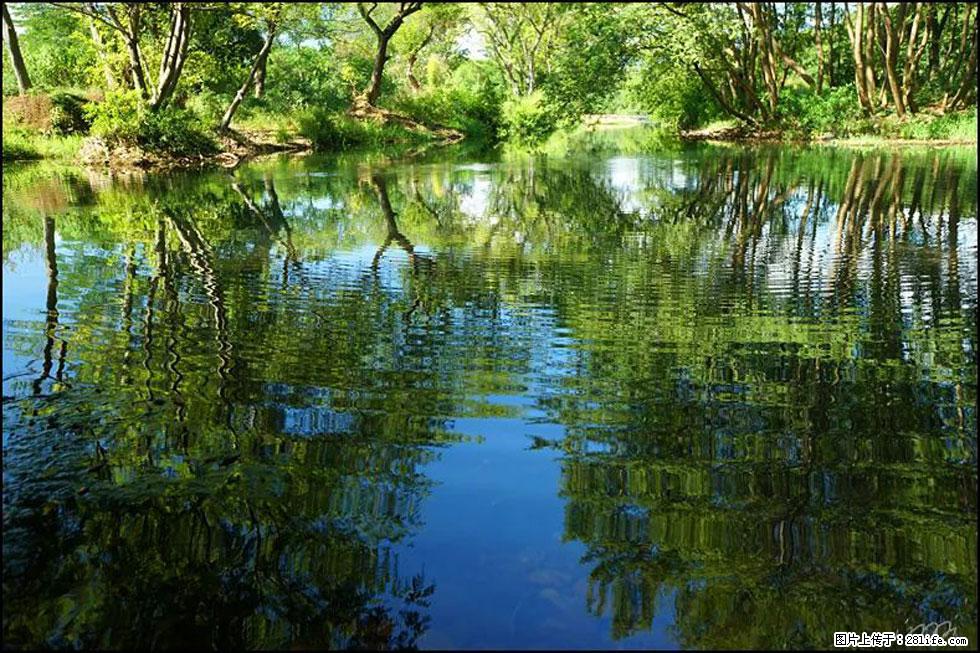 【春天，广西桂林灌阳县向您发出邀请！】熊家寨湿地公园 - 游山玩水 - 澳门生活社区 - 澳门28生活网 am.28life.net