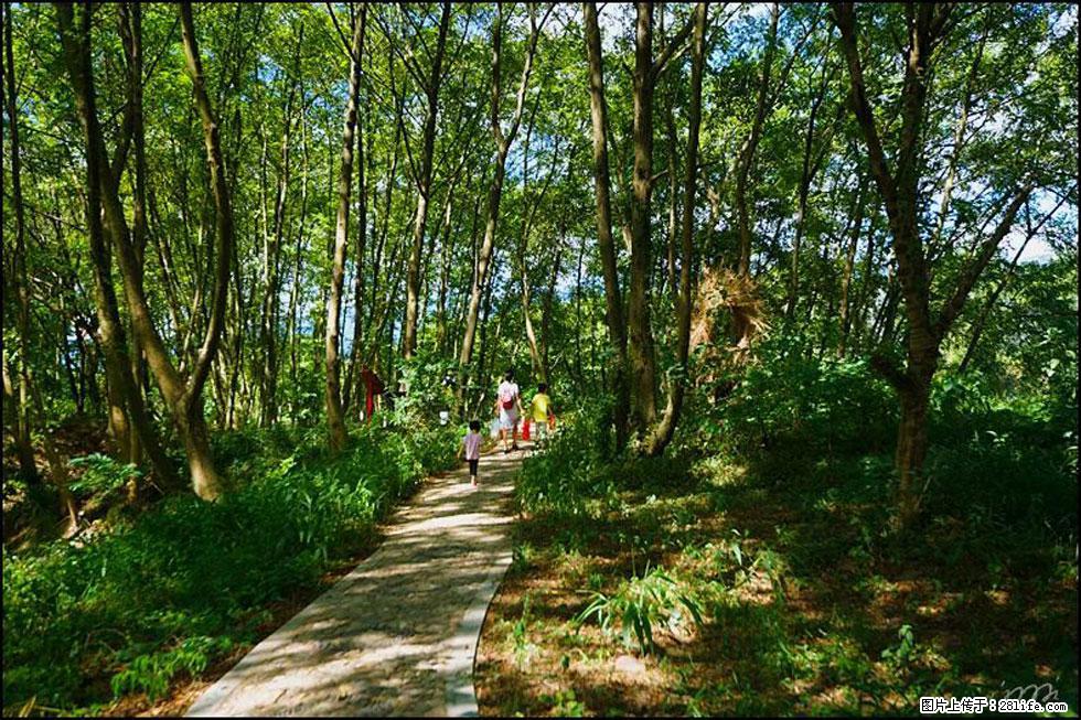 【春天，广西桂林灌阳县向您发出邀请！】熊家寨湿地公园 - 游山玩水 - 澳门生活社区 - 澳门28生活网 am.28life.net