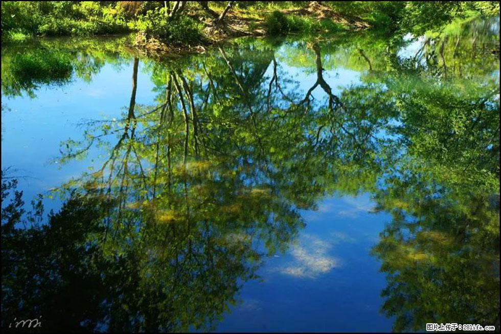 【春天，广西桂林灌阳县向您发出邀请！】熊家寨湿地公园 - 游山玩水 - 澳门生活社区 - 澳门28生活网 am.28life.net