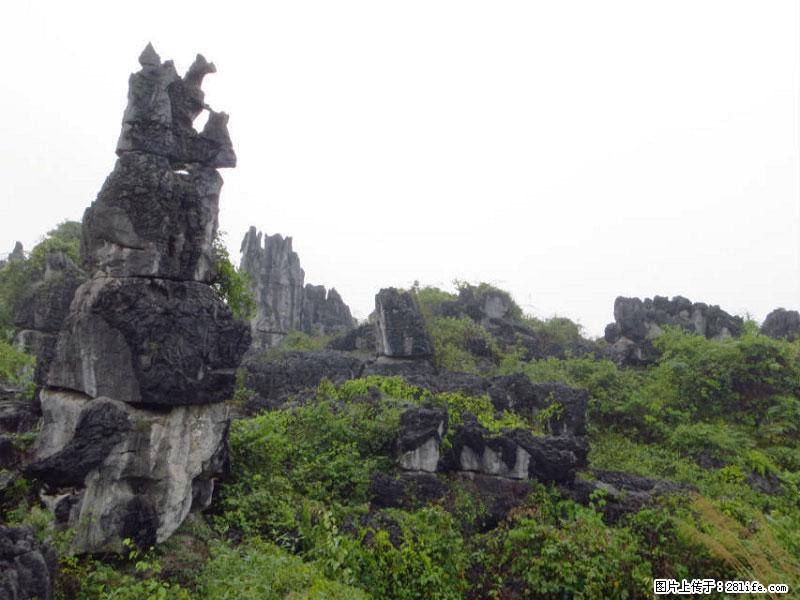 桂林旅游名城景点：灌阳文市石林 - 游山玩水 - 澳门生活社区 - 澳门28生活网 am.28life.net
