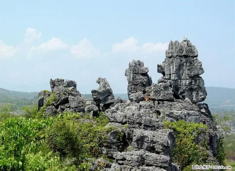 桂林旅游名城景点：灌阳文市石林 - 游山玩水 - 澳门生活社区 - 澳门28生活网 am.28life.net