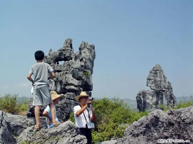 桂林旅游名城景点：灌阳文市石林 - 游山玩水 - 澳门生活社区 - 澳门28生活网 am.28life.net