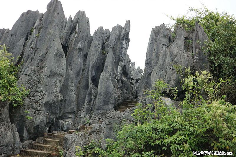 桂林旅游名城景点：灌阳文市石林 - 游山玩水 - 澳门生活社区 - 澳门28生活网 am.28life.net