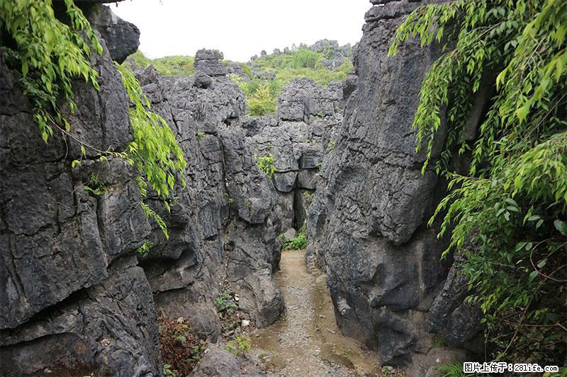 桂林旅游名城景点：灌阳文市石林 - 游山玩水 - 澳门生活社区 - 澳门28生活网 am.28life.net