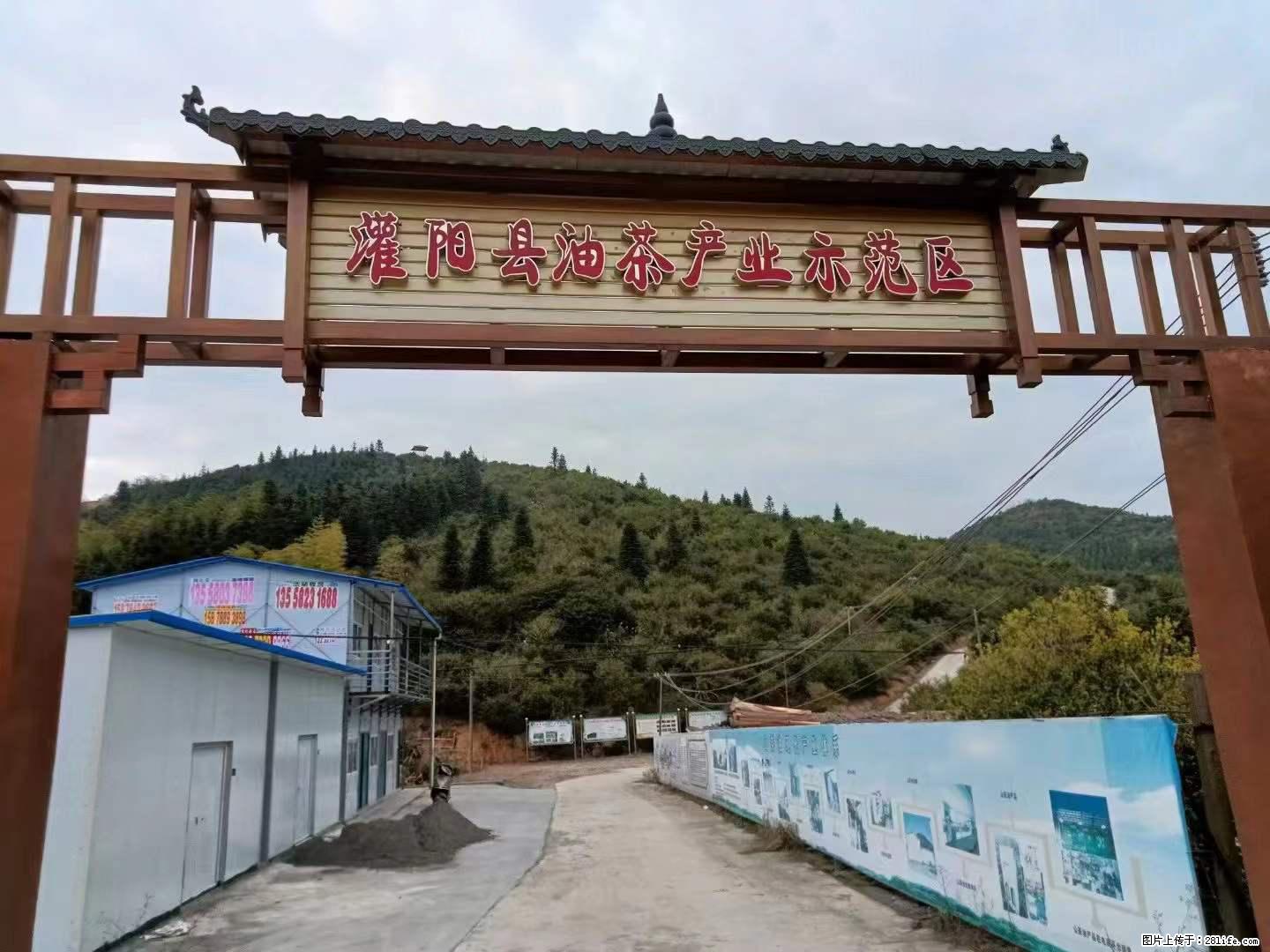 【灌阳县油茶产业示范区】一个有着充实的精神生活的人，对待身外之物自会有一种淡泊的态度 - 土特产 - 饮食特产 - 澳门分类信息 - 澳门28生活网 am.28life.net
