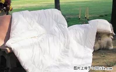 被子有异味？只要这样做，比晒太阳还强100倍！ - 家居生活 - 澳门生活社区 - 澳门28生活网 am.28life.net