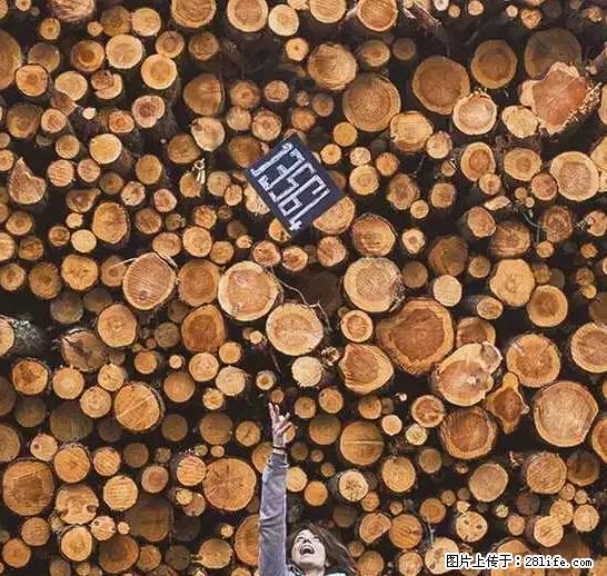 辞掉工作周游世界？现在他们在洗厕所…… - 游山玩水 - 澳门生活社区 - 澳门28生活网 am.28life.net