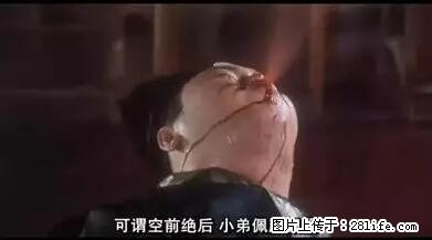 笑癫了！一女的怀孕三年未生，他终于忍不住了... - 娱乐八卦 - 澳门生活社区 - 澳门28生活网 am.28life.net