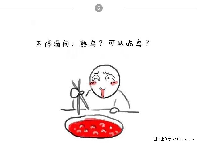 千万不要和这9种哈卵一起吃火锅！ - 美食天地 - 澳门生活社区 - 澳门28生活网 am.28life.net