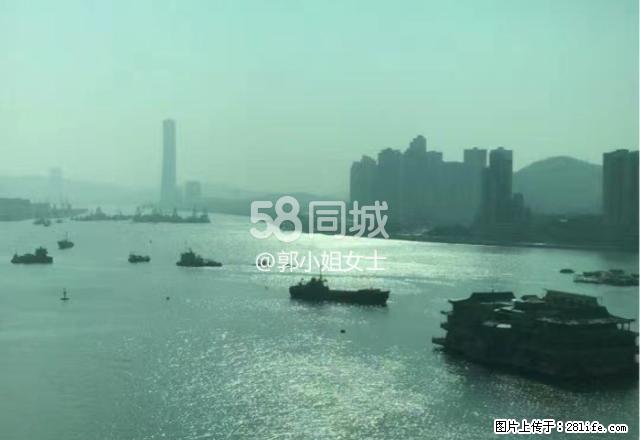 擎天半島 2室2厅1卫 - 房屋出租 - 房屋租售 - 澳门分类信息 - 澳门28生活网 am.28life.net