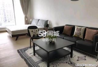 澳门双钻 1室1厅1卫 - 澳门28生活网 am.28life.net