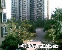 拱北国际花园 4室2厅1卫 - 房屋出租 - 房屋租售 - 澳门分类信息 - 澳门28生活网 am.28life.net