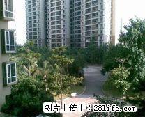 拱北国际花园 4室2厅1卫 - 澳门28生活网 am.28life.net