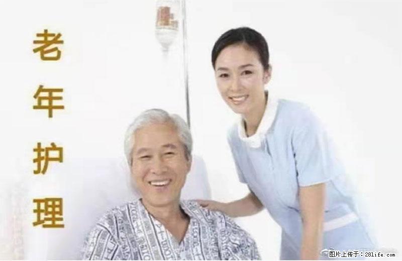 上海国企养老院，星级酒店环境，招聘养老护工 - 职场交流 - 澳门生活社区 - 澳门28生活网 am.28life.net