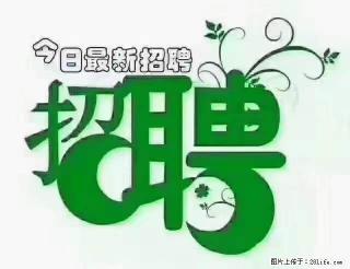【招聘摄像师】待遇：试用期6000元/月，转正7000元/月+五险一金+餐补+节日福利+奖金 - 澳门28生活网 am.28life.net