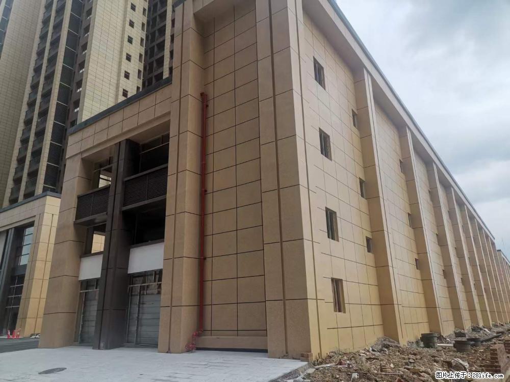 【广西三象建筑安装工程有限公司】外墙涂料工程 - 新手上路 - 澳门生活社区 - 澳门28生活网 am.28life.net