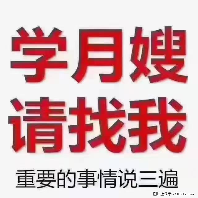 【招聘】月嫂，上海徐汇区 - 职场交流 - 澳门生活社区 - 澳门28生活网 am.28life.net