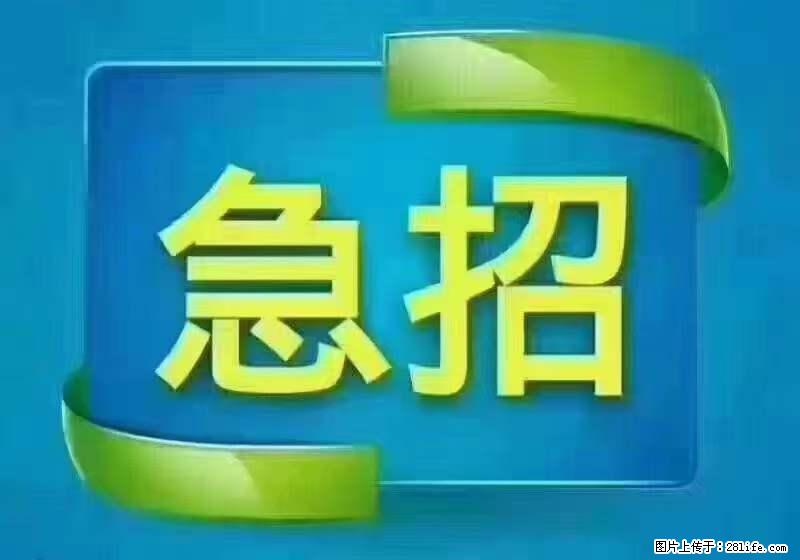 招出纳8000元/月，无证可以，要有相关经验，上海五险一金，包住，包工作餐，做六休一。 - 职场交流 - 澳门生活社区 - 澳门28生活网 am.28life.net