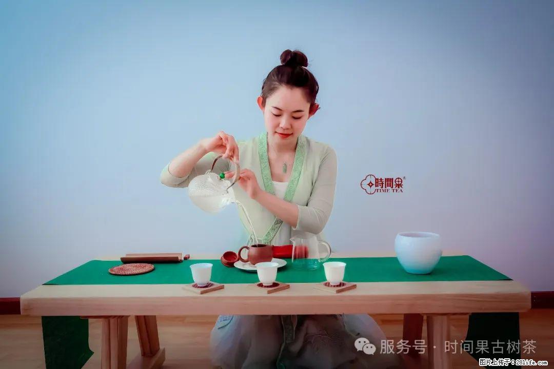 时间果百年古树龙珠普洱生茶 - 购物交流 - 澳门生活社区 - 澳门28生活网 am.28life.net