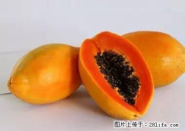 晕车、脚气、牙齿变黄、皮肤粗糙？学会这些三分钟搞定！ - 澳门生活资讯 - 澳门28生活网 am.28life.net