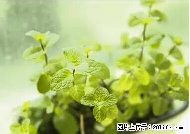 晕车、脚气、牙齿变黄、皮肤粗糙？学会这些三分钟搞定！ - 澳门生活资讯 - 澳门28生活网 am.28life.net