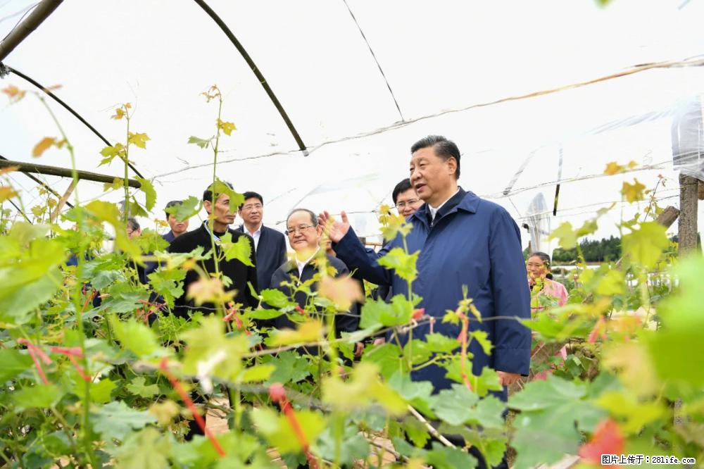 习近平赴广西考察调研 - 澳门生活资讯 - 澳门28生活网 am.28life.net