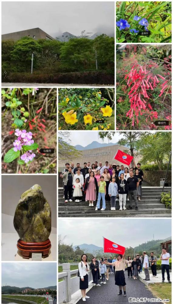 “粤灌文化 美好生活”油茶文化主题活动在广东深圳成功举办 - 澳门生活资讯 - 澳门28生活网 am.28life.net