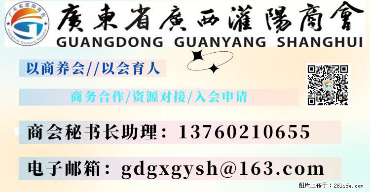 “粤灌文化 美好生活”油茶文化主题活动在广东深圳成功举办 - 澳门生活资讯 - 澳门28生活网 am.28life.net