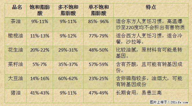 揭秘茶油的5大核心营养成分！被称为人体健康的“守护盾”！ - 澳门生活资讯 - 澳门28生活网 am.28life.net