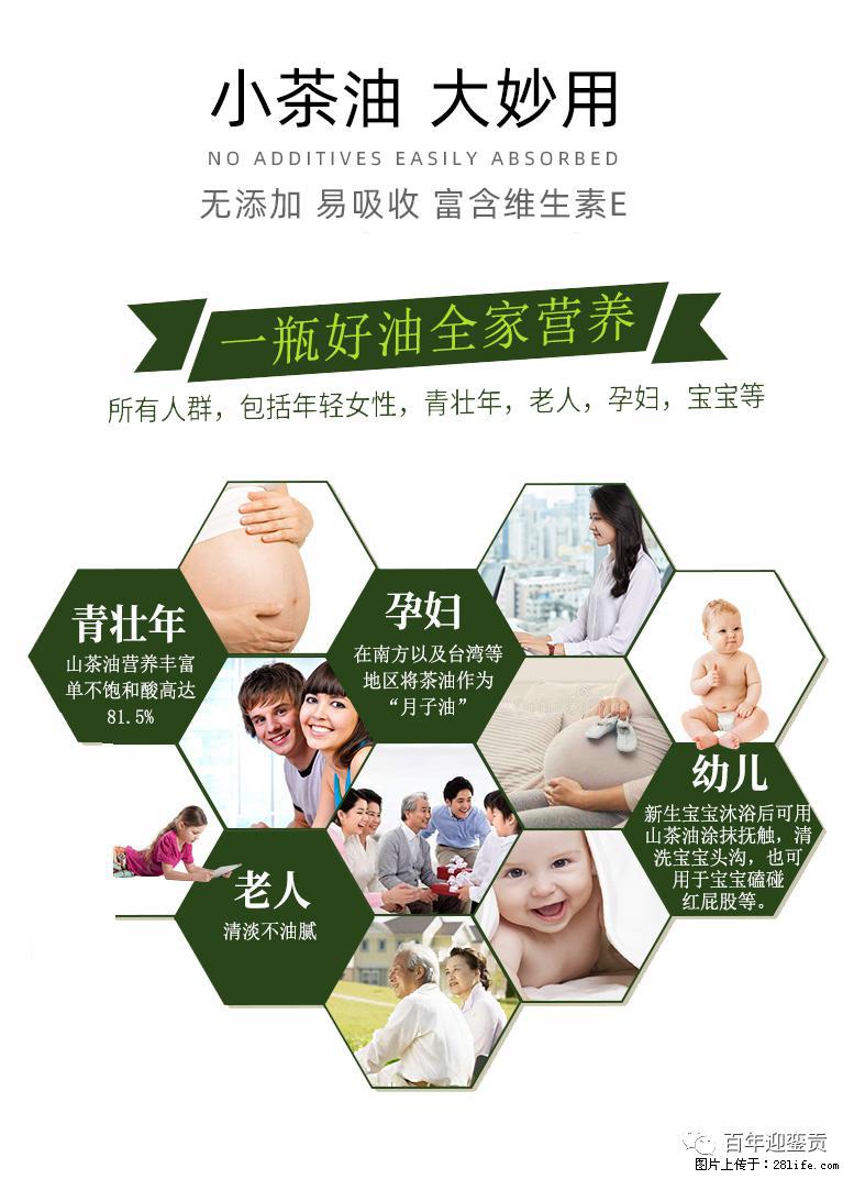 世界没有真相，只有认知，最好的食用油是中国的山茶油！ - 澳门生活资讯 - 澳门28生活网 am.28life.net