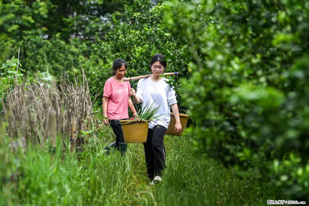 全网追的“扁担女孩”，找了一份暑假工，时薪12元 - 澳门生活资讯 - 澳门28生活网 am.28life.net