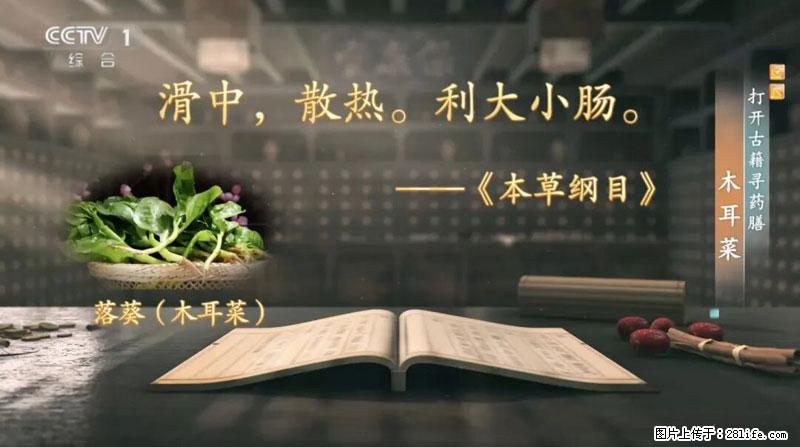比牛奶补钙还厉害！凉血解毒、稳血糖...这菜冬天必吃，很多人却当草 - 澳门生活资讯 - 澳门28生活网 am.28life.net