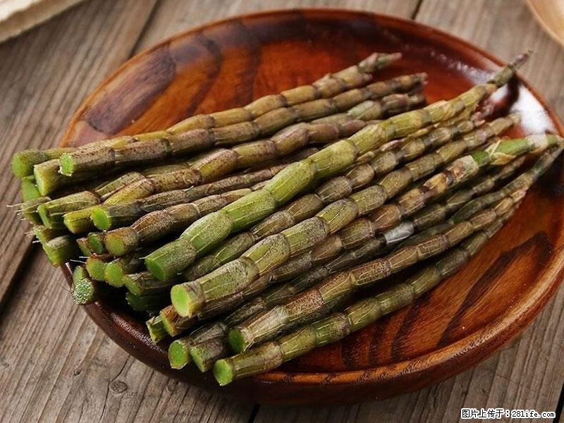 铁皮石斛的作用与功能主治 - 澳门生活资讯 - 澳门28生活网 am.28life.net