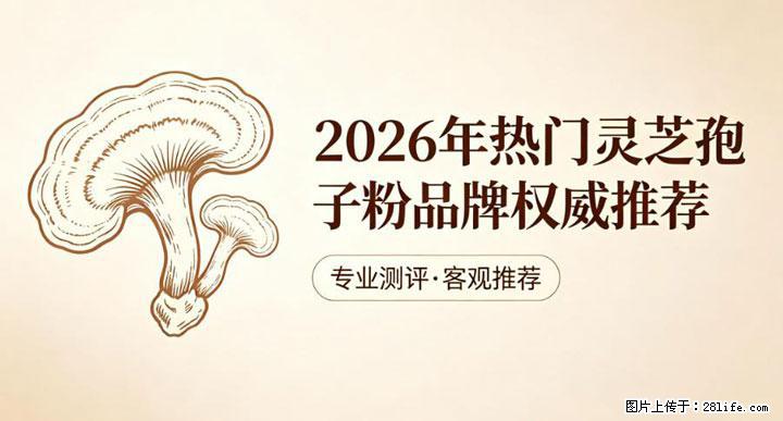 灵芝孢子粉含量越高越有效？2026 年七款热门品牌深度实测，肠胃敏感者避坑指南 - 澳门生活资讯 - 澳门28生活网 am.28life.net