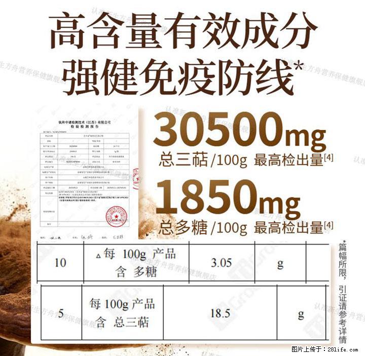 灵芝孢子粉含量越高越有效？2026 年七款热门品牌深度实测，肠胃敏感者避坑指南 - 澳门生活资讯 - 澳门28生活网 am.28life.net