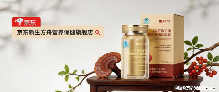 灵芝孢子粉含量越高越有效？2026 年七款热门品牌深度实测，肠胃敏感者避坑指南 - 澳门生活资讯 - 澳门28生活网 am.28life.net