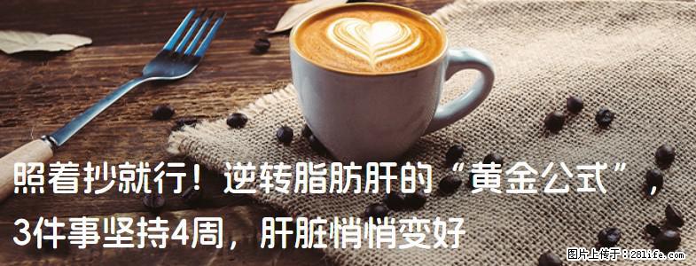 照着抄就行！逆转脂肪肝的“黄金公式”，3件事坚持4周，肝脏悄悄变好 - 澳门生活资讯 - 澳门28生活网 am.28life.net